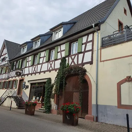 Rebstock Nr 1 Bahlingen (Emmendingen)